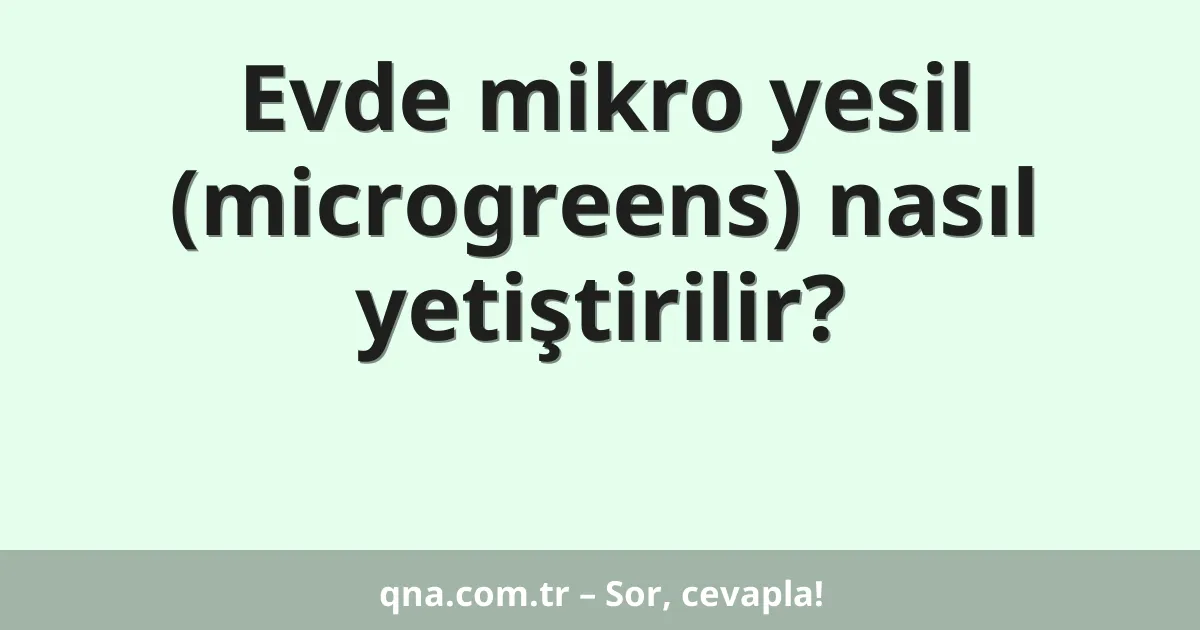 Evde mikro yesil (microgreens) nasıl yetiştirilir?