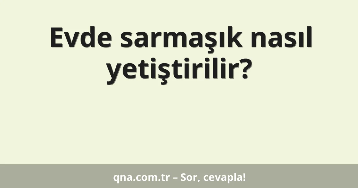 Evde sarmaşık nasıl yetiştirilir?