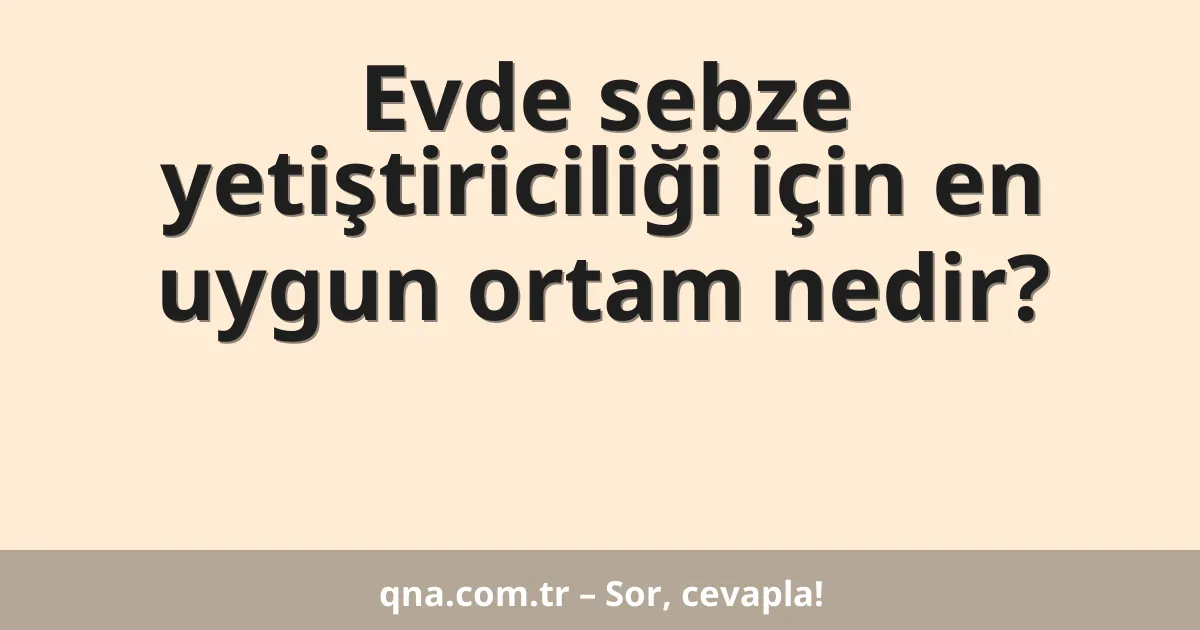 Evde sebze yetiştiriciliği için en uygun ortam nedir?