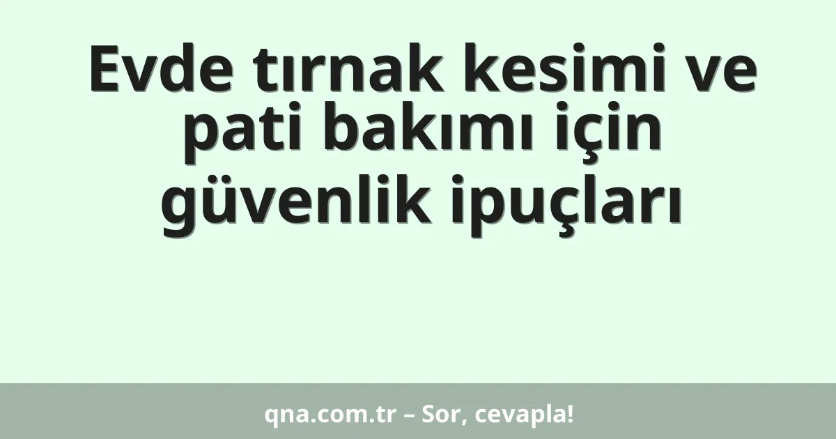 Evde tırnak kesimi ve pati bakımı için güvenlik ipuçları