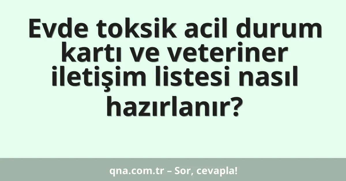 Evde toksik acil durum kartı ve veteriner iletişim listesi nasıl hazırlanır?