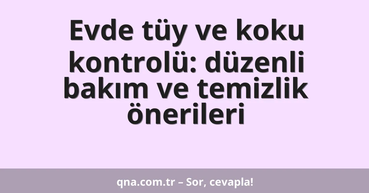 Evde tüy ve koku kontrolü: düzenli bakım ve temizlik önerileri
