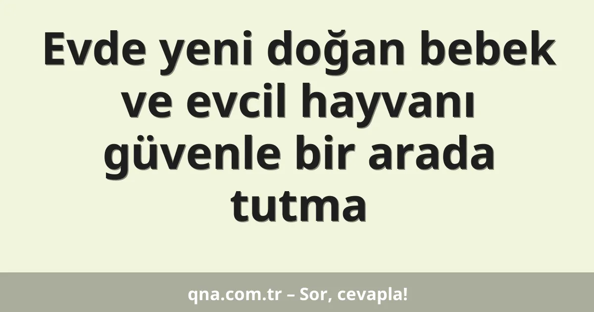 Evde yeni doğan bebek ve evcil hayvanı güvenle bir arada tutma