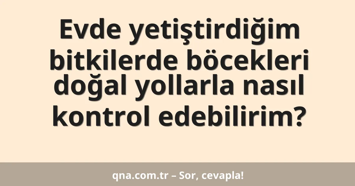 Evde yetiştirdiğim bitkilerde böcekleri doğal yollarla nasıl kontrol edebilirim?