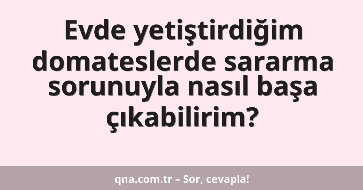 Evde yetiştirdiğim domateslerde sararma sorunuyla nasıl başa çıkabilirim?