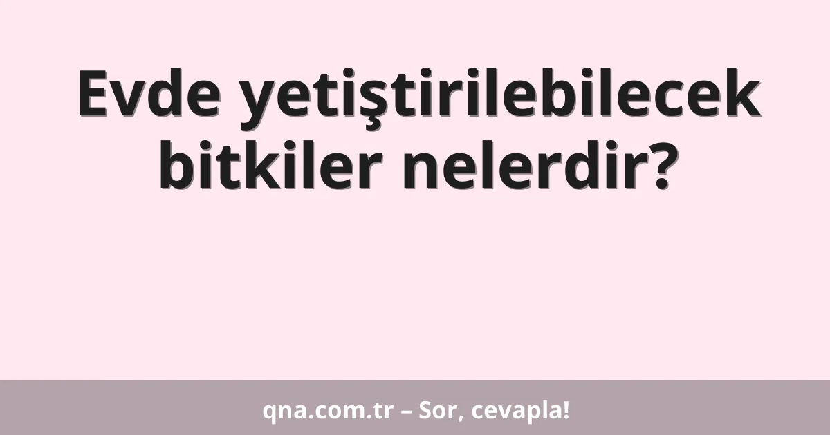 Evde yetiştirilebilecek bitkiler nelerdir?