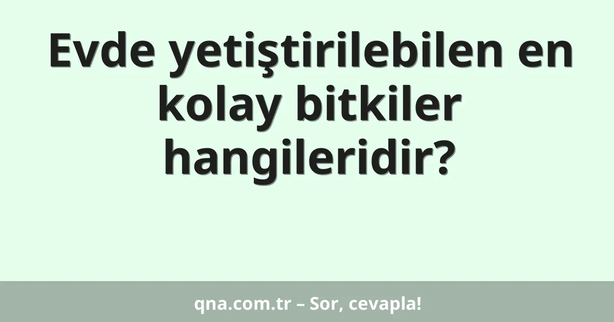 Evde yetiştirilebilen en kolay bitkiler hangileridir?