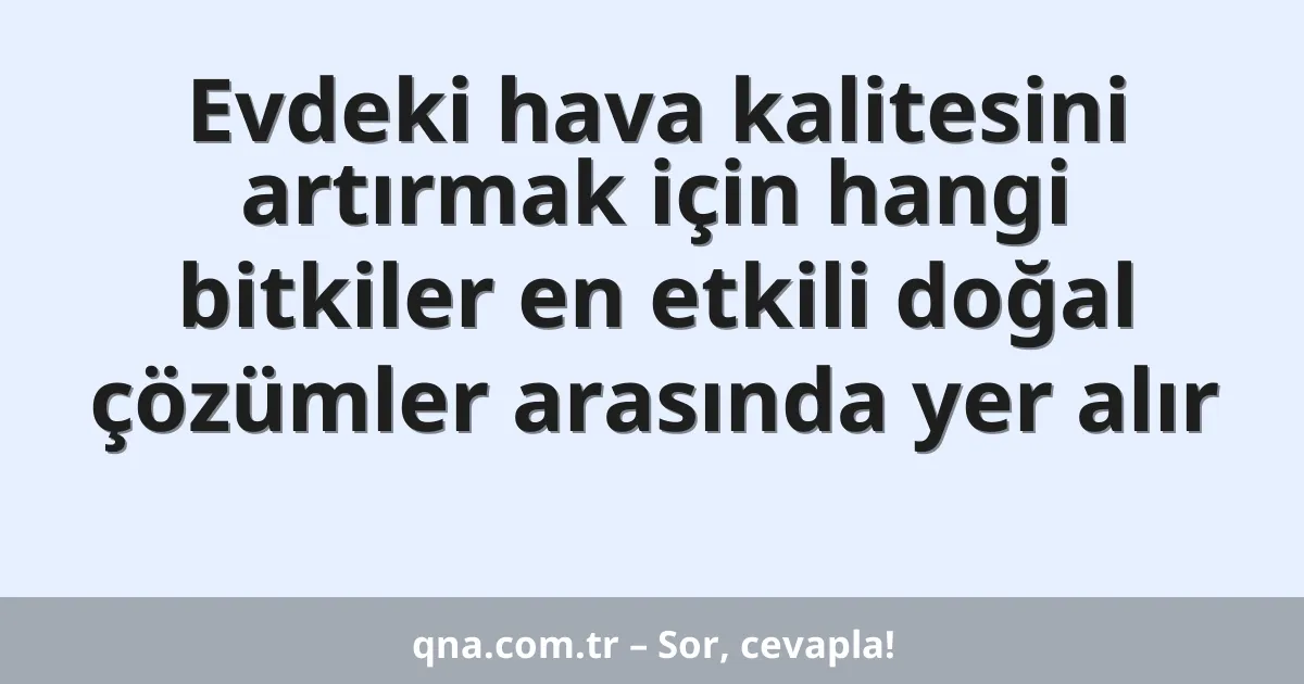 Evdeki hava kalitesini artırmak için hangi bitkiler en etkili doğal çözümler arasında yer alır