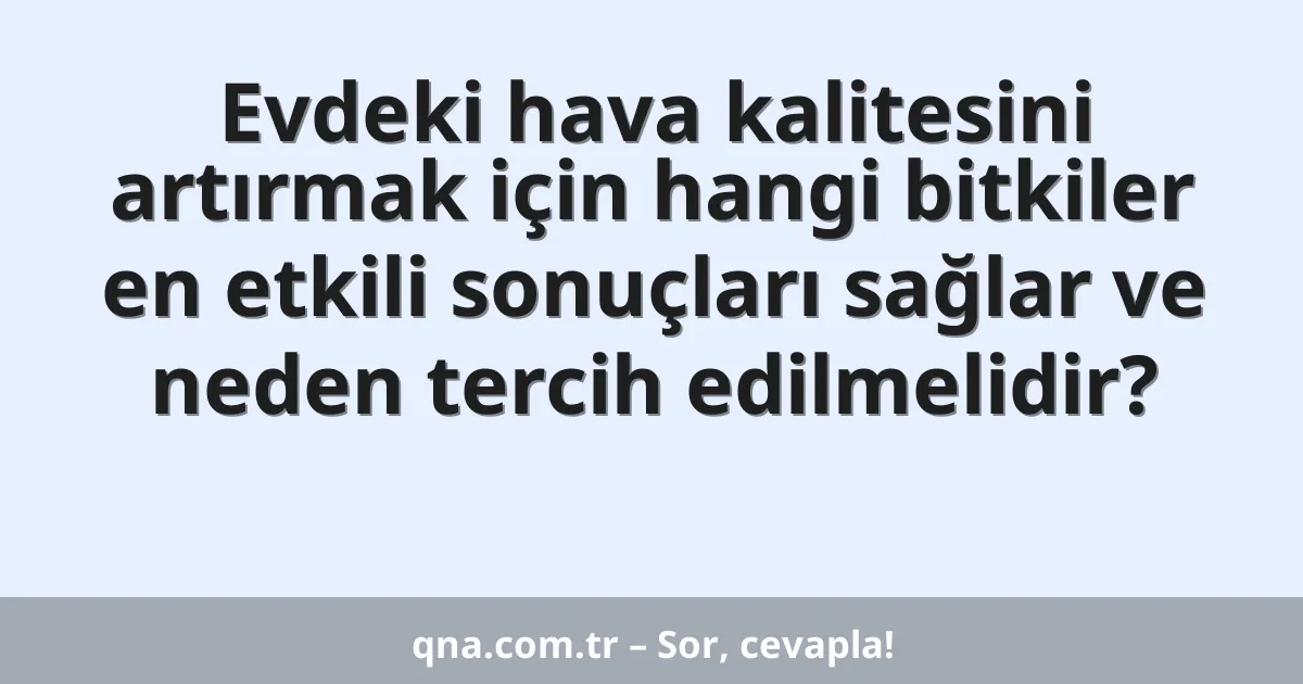 Evdeki hava kalitesini artırmak için hangi bitkiler en etkili sonuçları sağlar ve neden tercih edilmelidir?