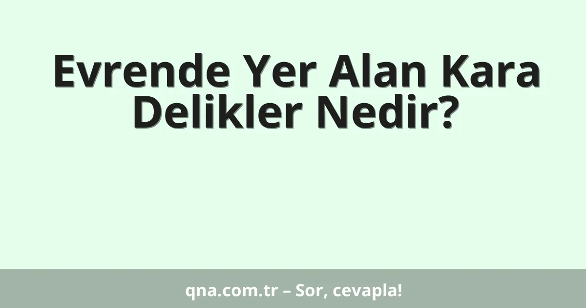 Evrende Yer Alan Kara Delikler Nedir?