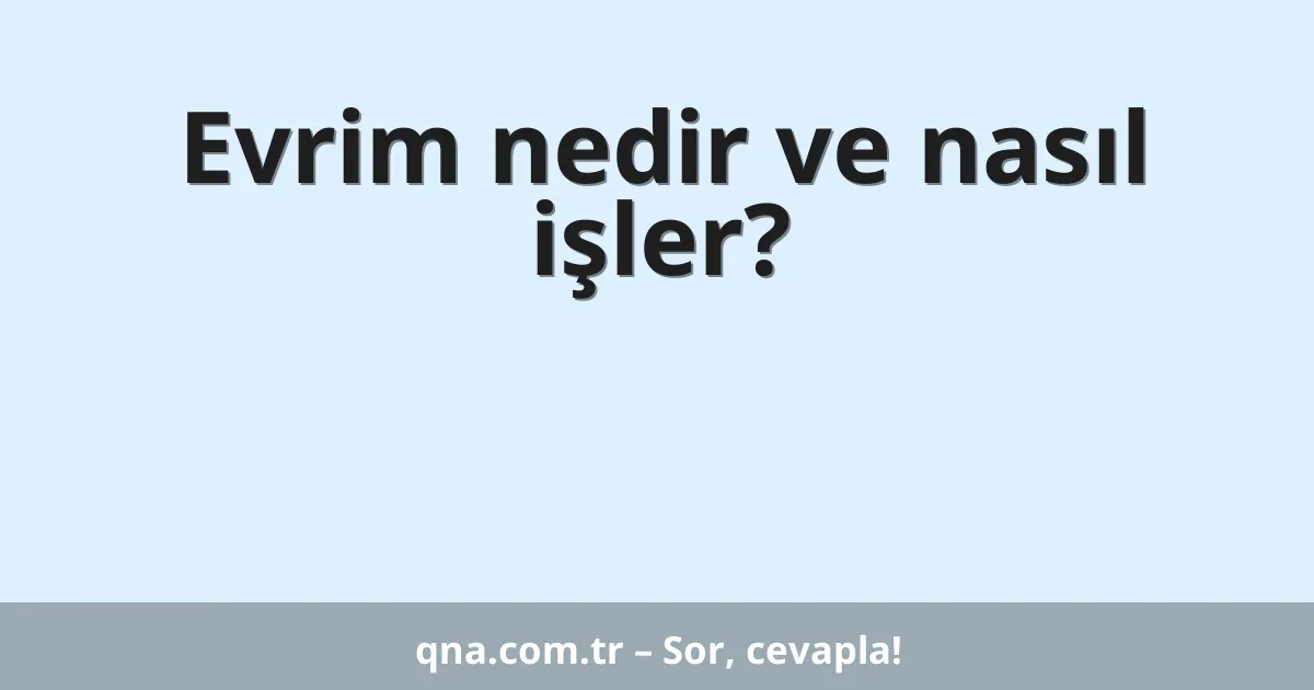Evrim nedir ve nasıl işler?
