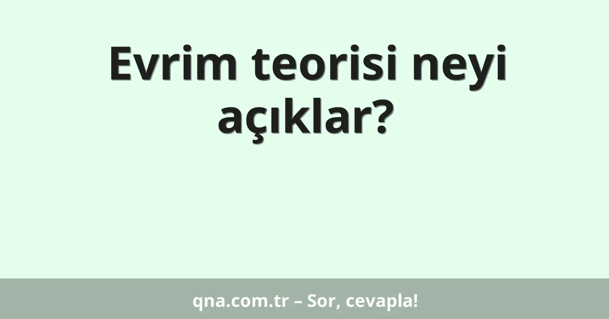 Evrim teorisi neyi açıklar?