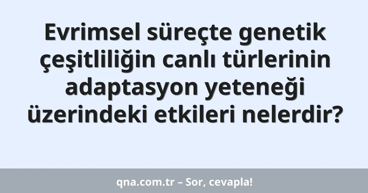 Evrimsel süreçte genetik çeşitliliğin canlı türlerinin adaptasyon yeteneği üzerindeki etkileri nelerdir?