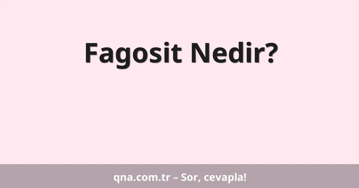 Fagosit Nedir?