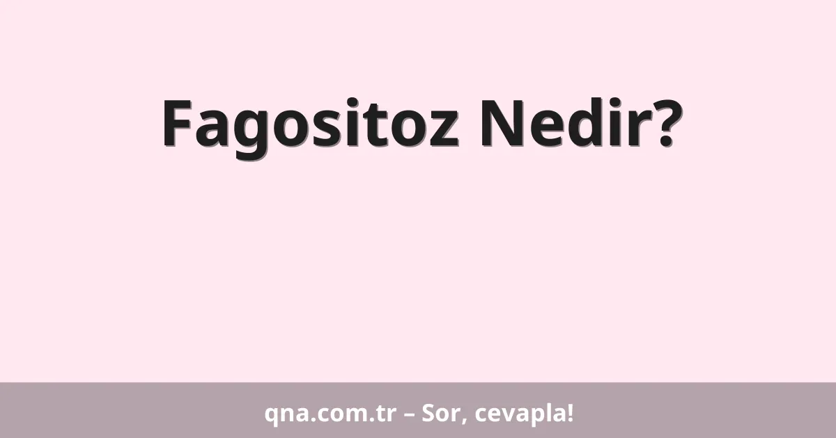 Fagositoz Nedir?