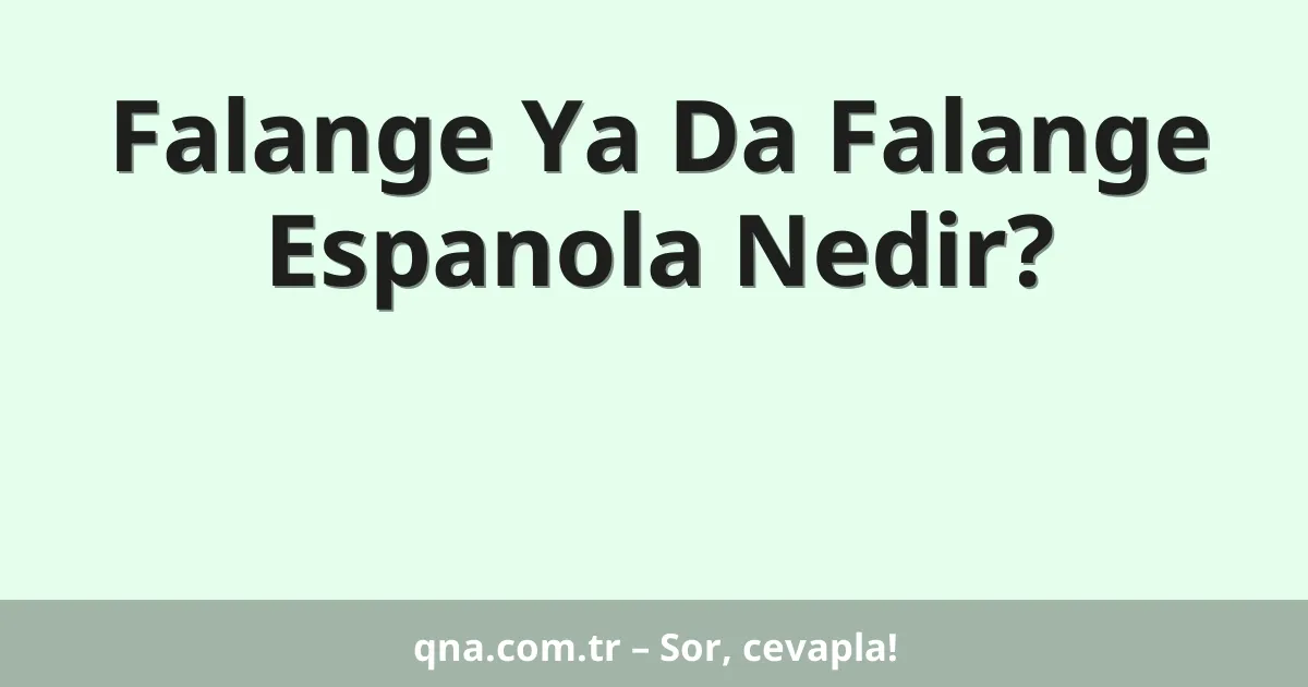 Falange Ya Da Falange Espanola Nedir?