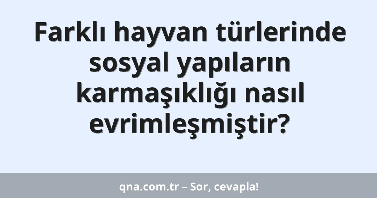 Farklı hayvan türlerinde sosyal yapıların karmaşıklığı nasıl evrimleşmiştir?