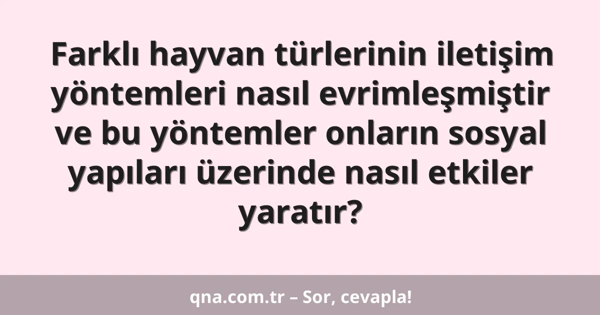 Farklı hayvan türlerinin iletişim yöntemleri nasıl evrimleşmiştir ve bu yöntemler onların sosyal yapıları üzerinde nasıl etkiler yaratır?