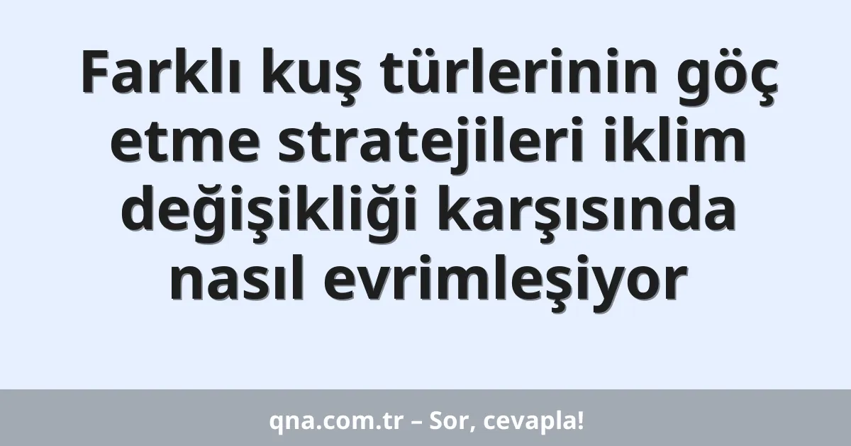 Farklı kuş türlerinin göç etme stratejileri iklim değişikliği karşısında nasıl evrimleşiyor