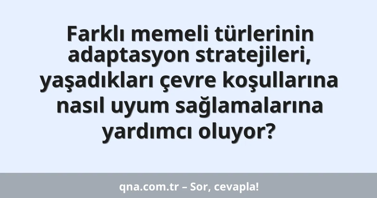 Farklı memeli türlerinin adaptasyon stratejileri, yaşadıkları çevre koşullarına nasıl uyum sağlamalarına yardımcı oluyor?