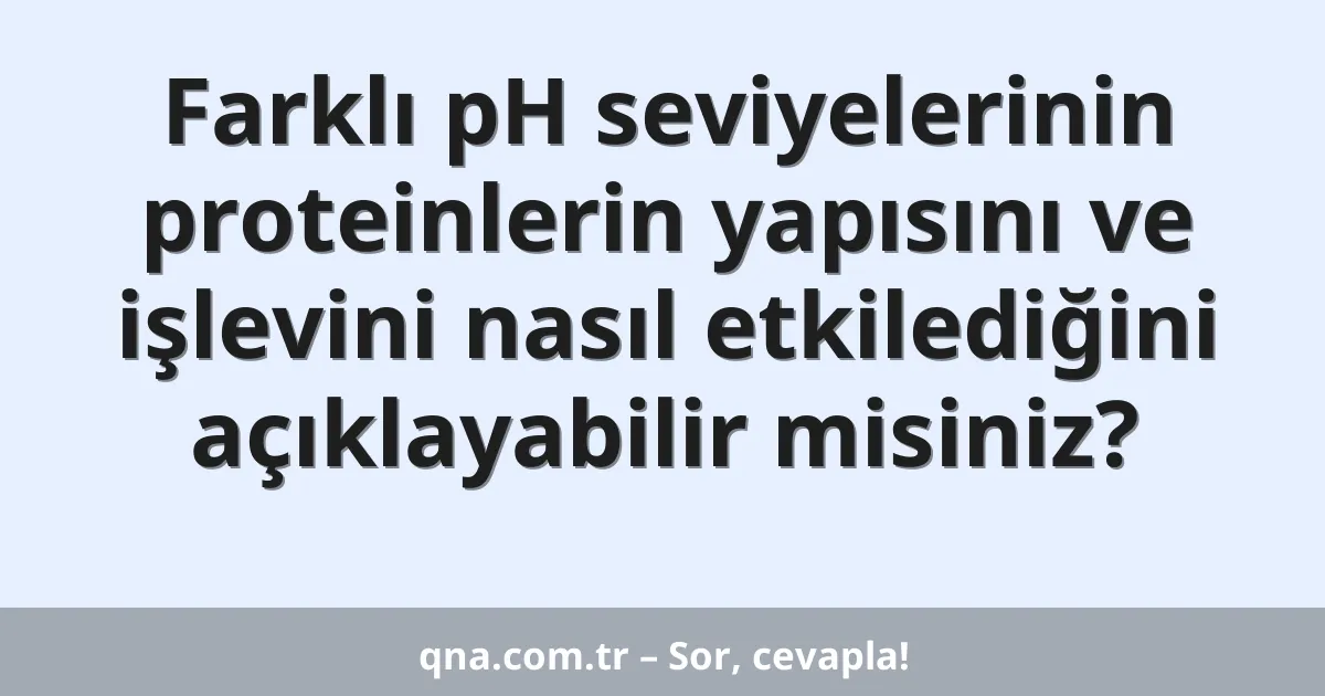 Farklı pH seviyelerinin proteinlerin yapısını ve işlevini nasıl etkilediğini açıklayabilir misiniz?