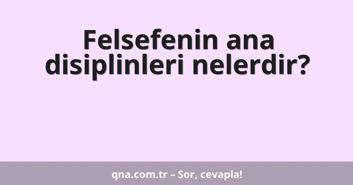 Felsefenin ana disiplinleri nelerdir?