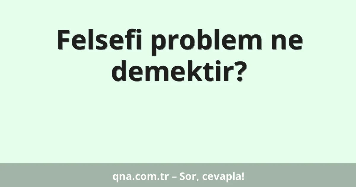 Felsefi problem ne demektir?