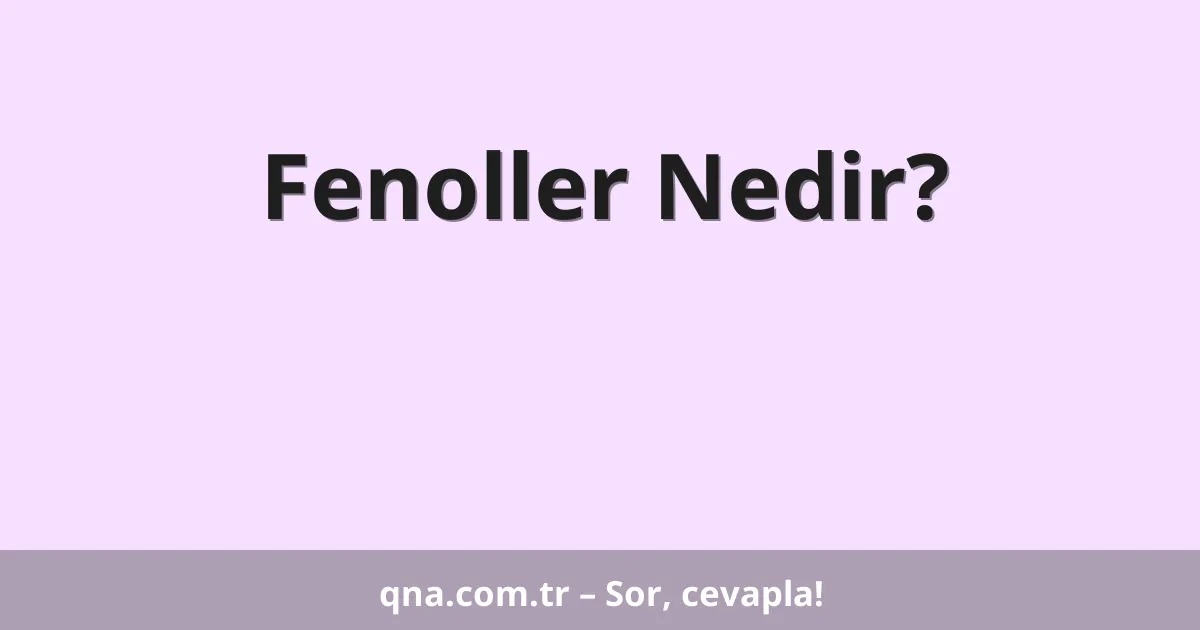 Fenoller Nedir?