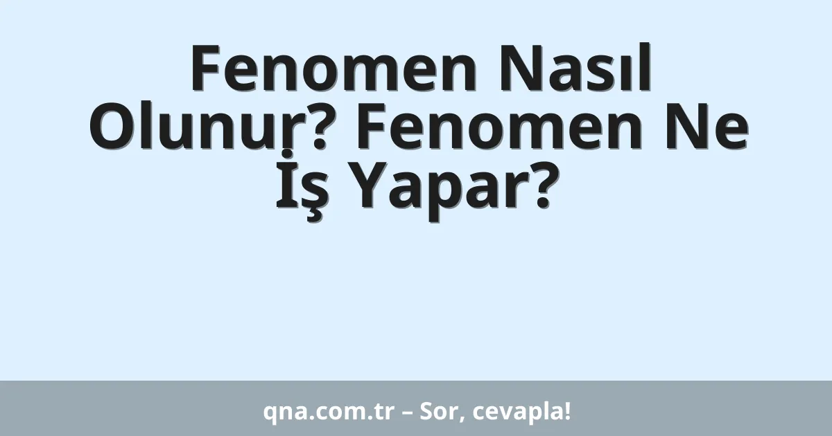 Fenomen Nasıl Olunur? Fenomen Ne İş Yapar?