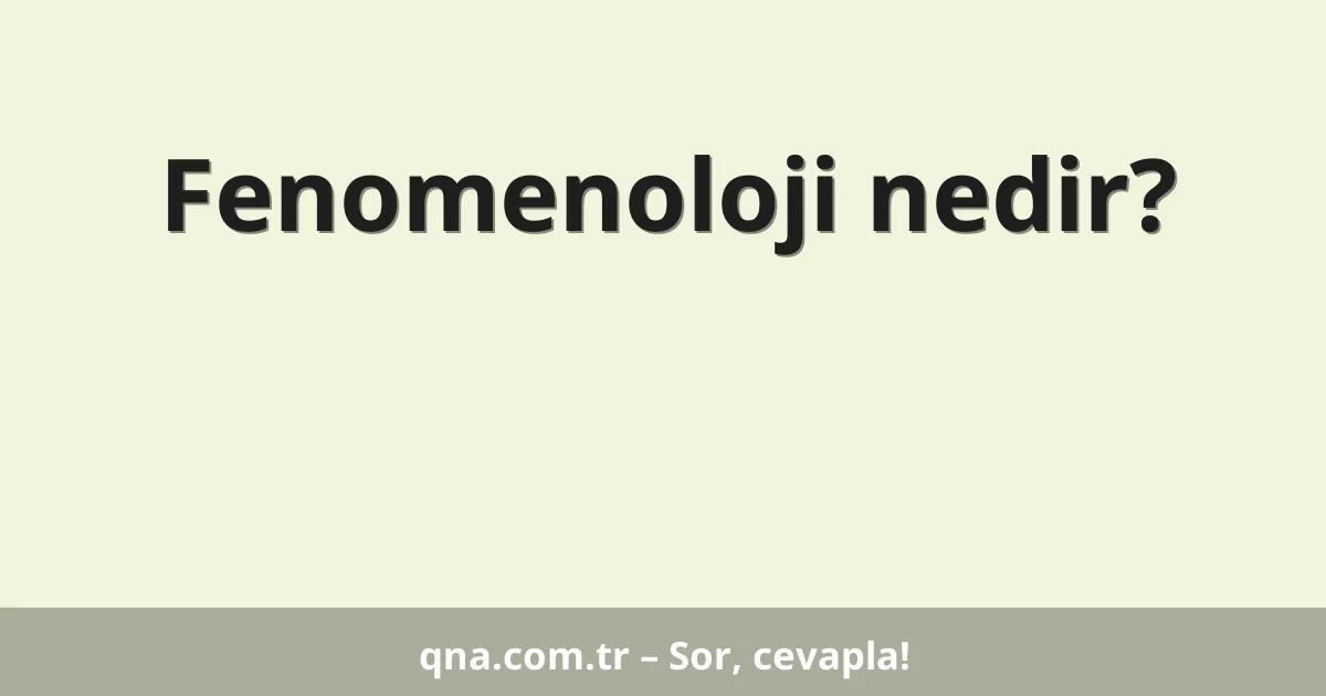 Fenomenoloji nedir?