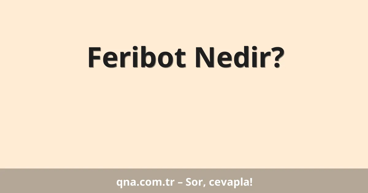 Feribot Nedir?