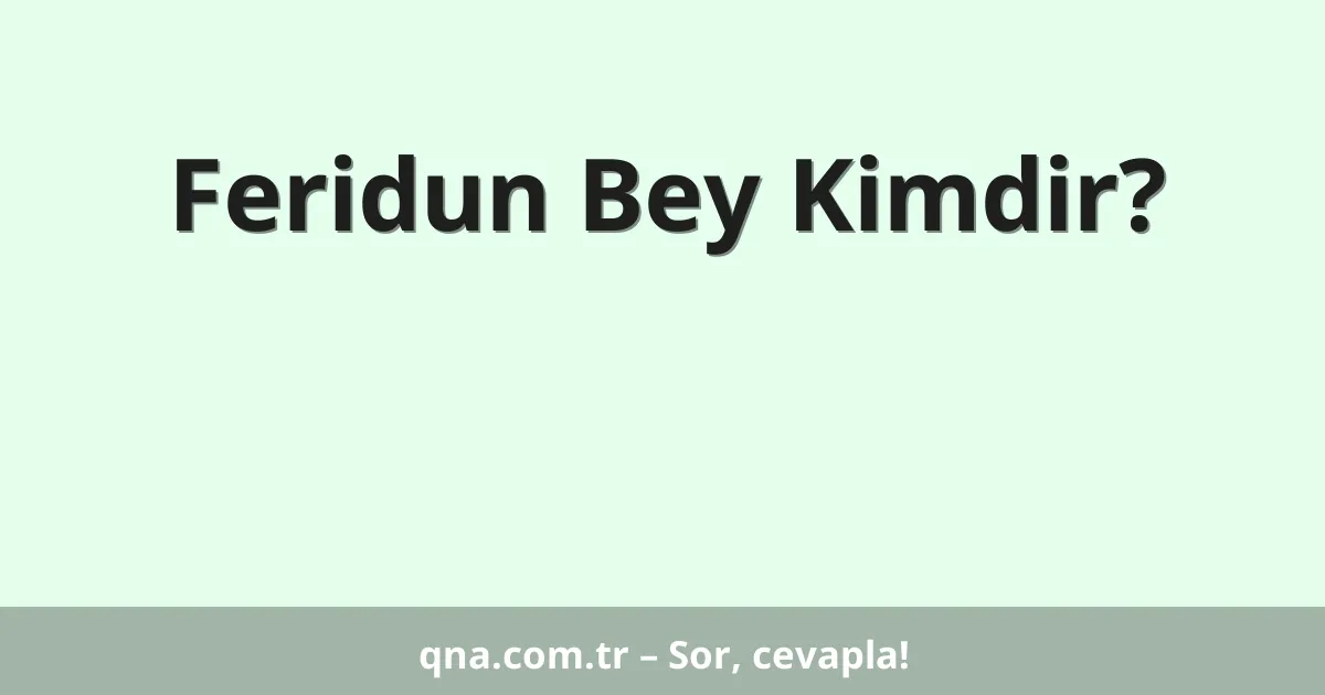 Feridun Bey Kimdir?