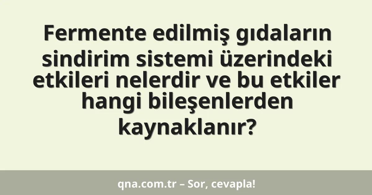 Fermente edilmiş gıdaların sindirim sistemi üzerindeki etkileri nelerdir ve bu etkiler hangi bileşenlerden kaynaklanır?