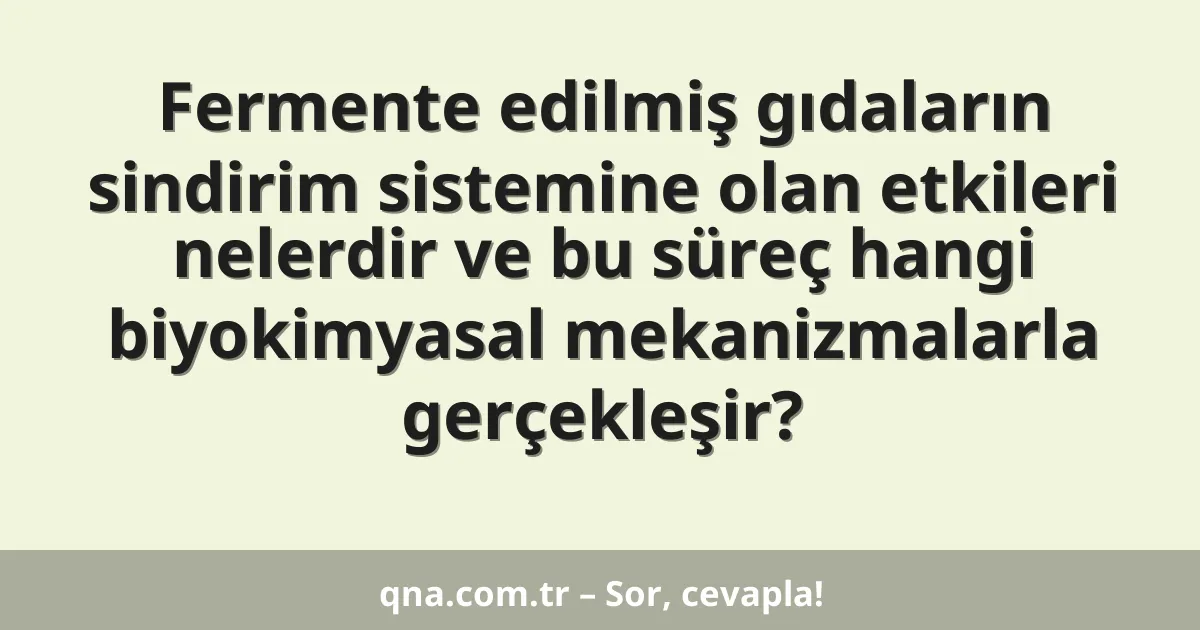Fermente edilmiş gıdaların sindirim sistemine olan etkileri nelerdir ve bu süreç hangi biyokimyasal mekanizmalarla gerçekleşir?