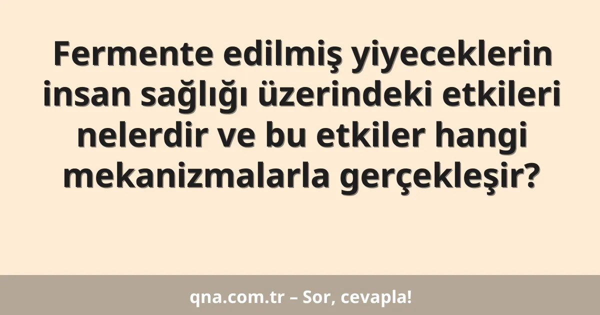 Fermente edilmiş yiyeceklerin insan sağlığı üzerindeki etkileri nelerdir ve bu etkiler hangi mekanizmalarla gerçekleşir?