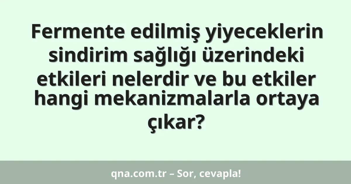 Fermente edilmiş yiyeceklerin sindirim sağlığı üzerindeki etkileri nelerdir ve bu etkiler hangi mekanizmalarla ortaya çıkar?