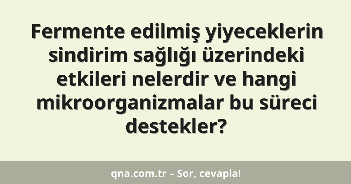 Fermente edilmiş yiyeceklerin sindirim sağlığı üzerindeki etkileri nelerdir ve hangi mikroorganizmalar bu süreci destekler?