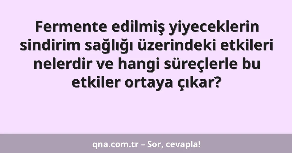 Fermente edilmiş yiyeceklerin sindirim sağlığı üzerindeki etkileri nelerdir ve hangi süreçlerle bu etkiler ortaya çıkar?