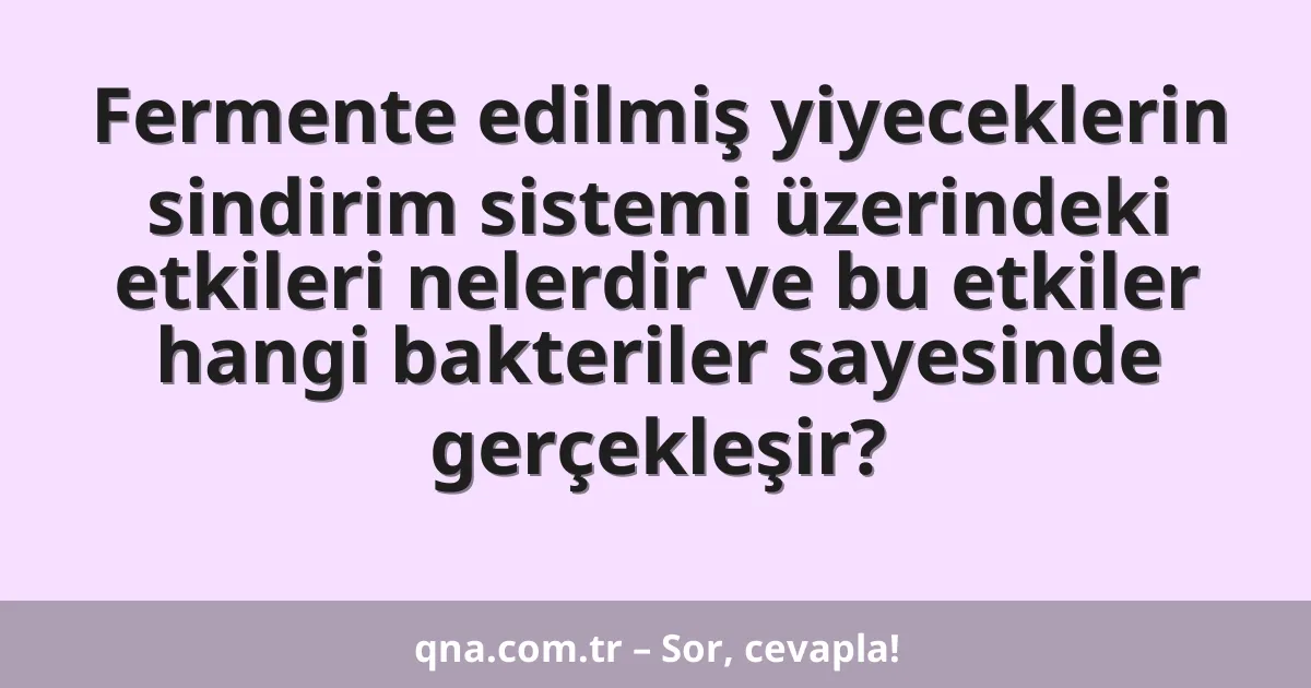 Fermente edilmiş yiyeceklerin sindirim sistemi üzerindeki etkileri nelerdir ve bu etkiler hangi bakteriler sayesinde gerçekleşir?