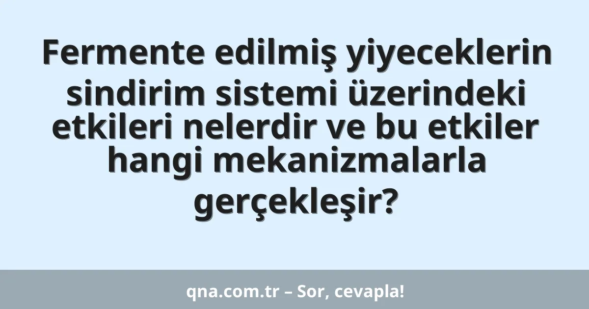 Fermente edilmiş yiyeceklerin sindirim sistemi üzerindeki etkileri nelerdir ve bu etkiler hangi mekanizmalarla gerçekleşir?