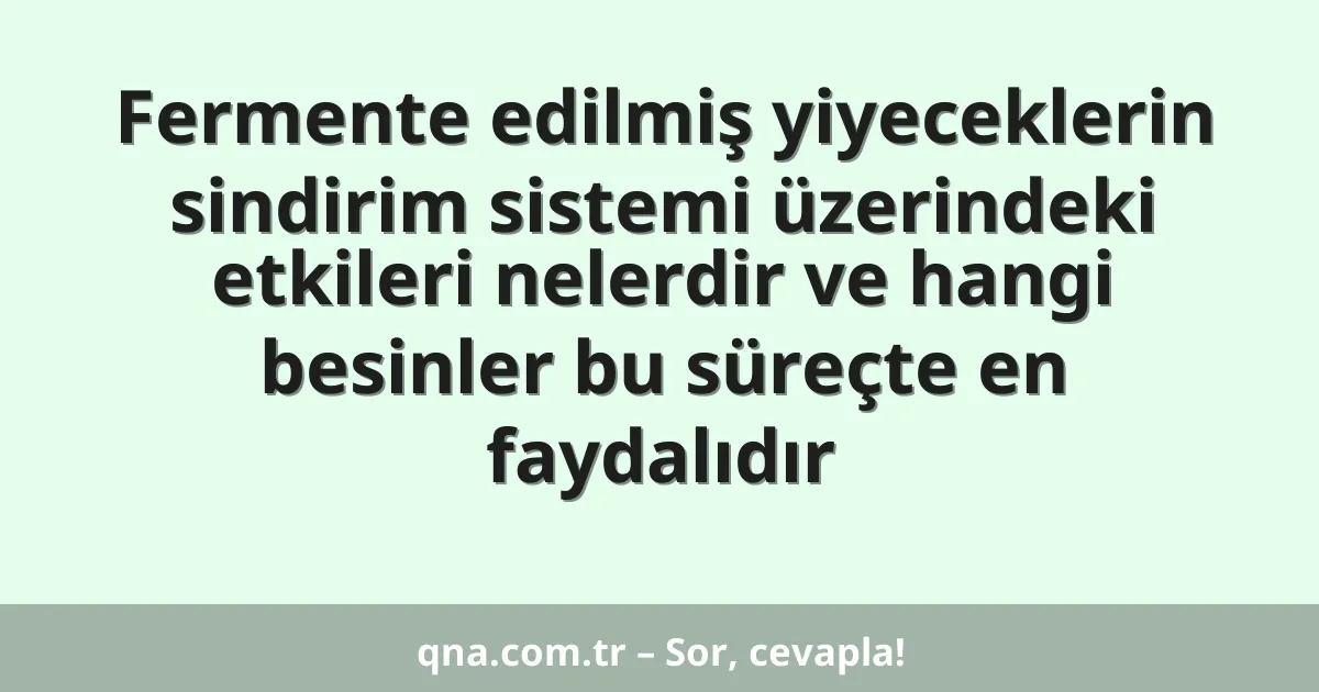 Fermente edilmiş yiyeceklerin sindirim sistemi üzerindeki etkileri nelerdir ve hangi besinler bu süreçte en faydalıdır