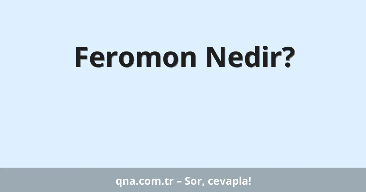Feromon Nedir?