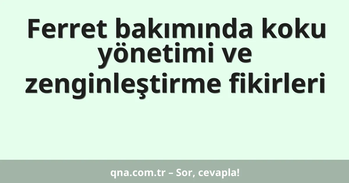 Ferret bakımında koku yönetimi ve zenginleştirme fikirleri