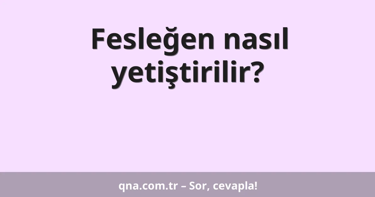 Fesleğen nasıl yetiştirilir?