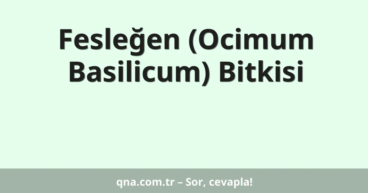 Fesleğen (Ocimum Basilicum) Bitkisi