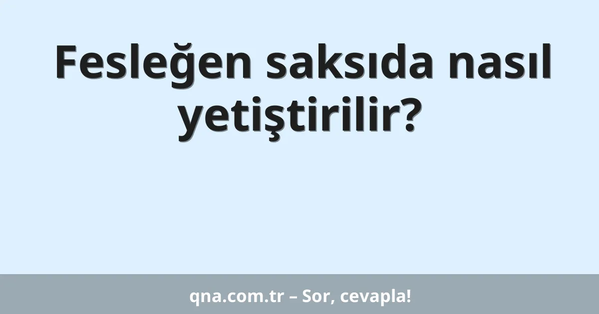Fesleğen saksıda nasıl yetiştirilir?