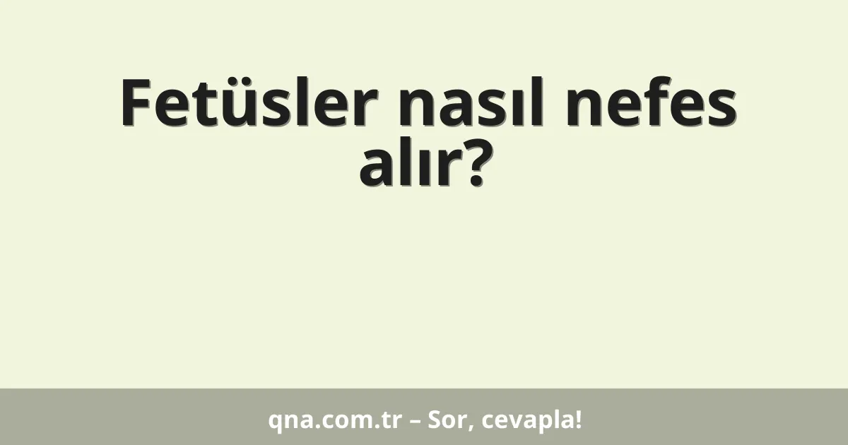 Fetüsler nasıl nefes alır?