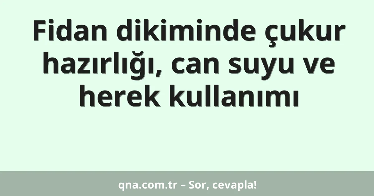 Fidan dikiminde çukur hazırlığı, can suyu ve herek kullanımı