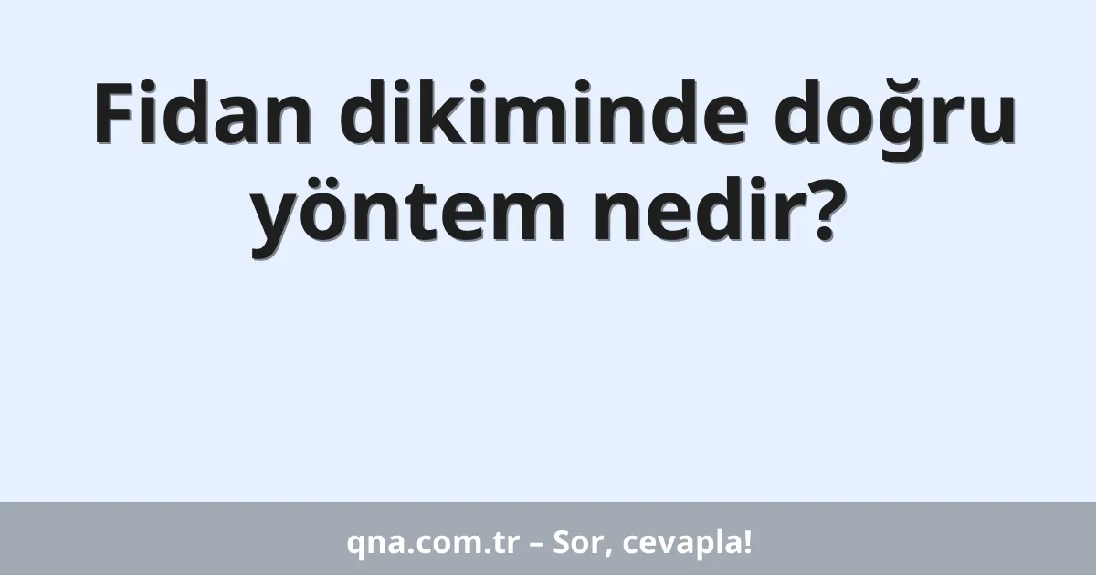 Fidan dikiminde doğru yöntem nedir?