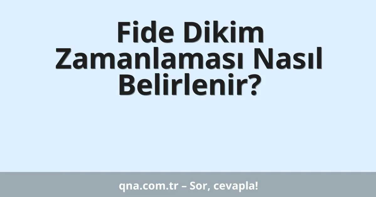 Fide Dikim Zamanlaması Nasıl Belirlenir?